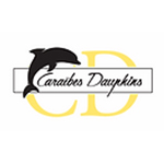 CARAÏBES DAUPHINS