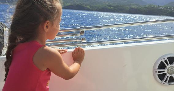 Découverte des Dauphins sur la côte Caraïbes