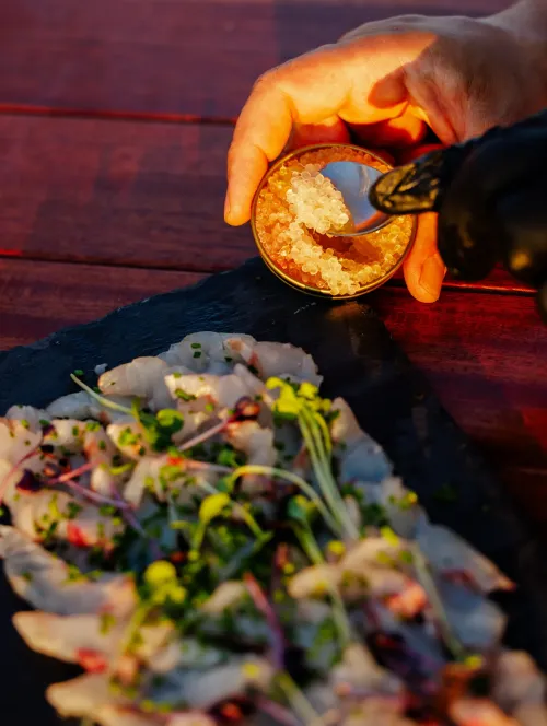gastronomic experience
