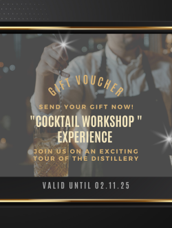 320 euro gift card for "Cocktail Workshop" flight valid for 8 guests