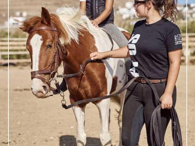 Horse Riding Lessons