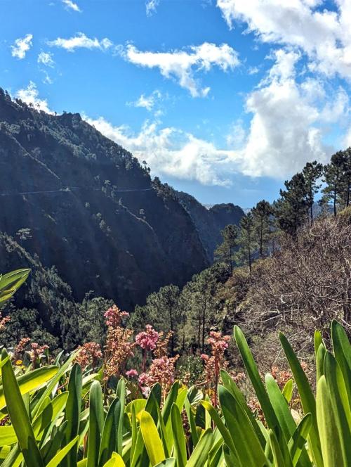 Eira do Serrado Views