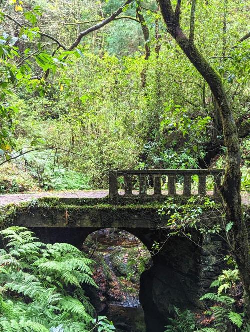 Levada dos Balcões