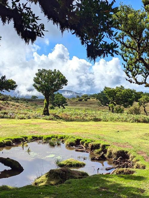 Fanal Forest (UNESCO)