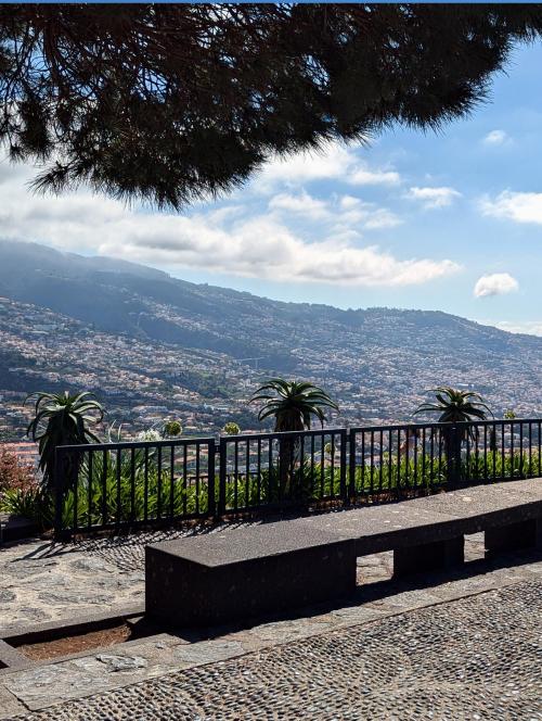 Pico dos Barcelos viewpoint