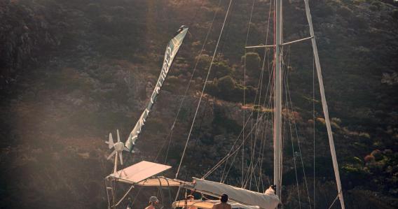 Half Day Sailing Cruise with Local Treats • Semi-Private