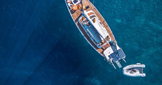 Half Day Sailing Cruise with Local Treats • Semi-Private