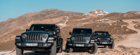 Top Safari / Wildlife in Mykonos