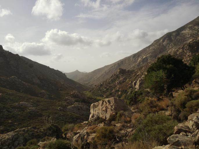 Naxos Unveiling: From Waterfall Trails to Village Feast