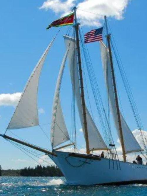 Halie & Matthew - A Great Way to See the SailGP