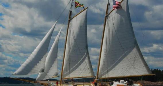 Sail 4th 250 Schooner Parade – Front Row Harbor Experience (July 3 and 5-8, 2026)