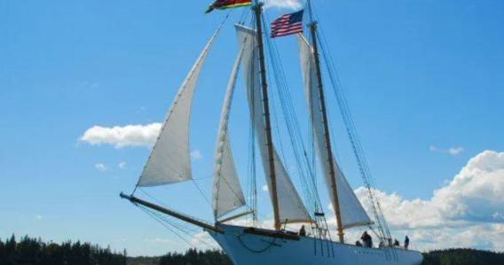 Public Schooner Sail (Sunset) – Statue of Liberty & Skyline Cruise (90 Minutes) 
