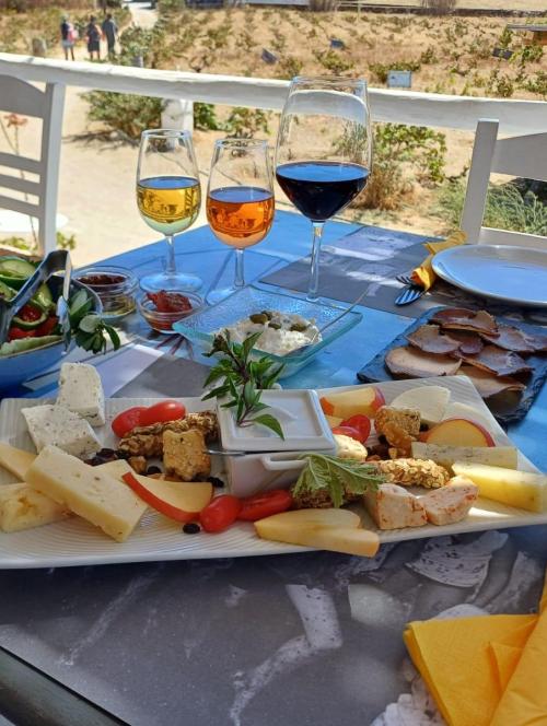 Wine Tasting in Local Farm,Mykonos Greece