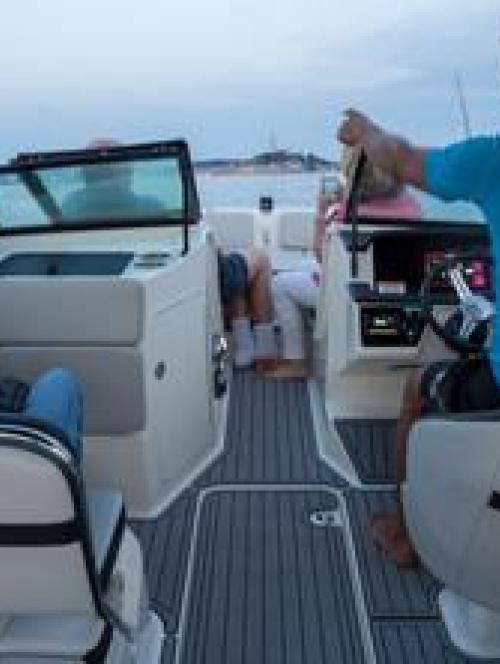 Skipper Karlo showing dolphins next to Rovinj