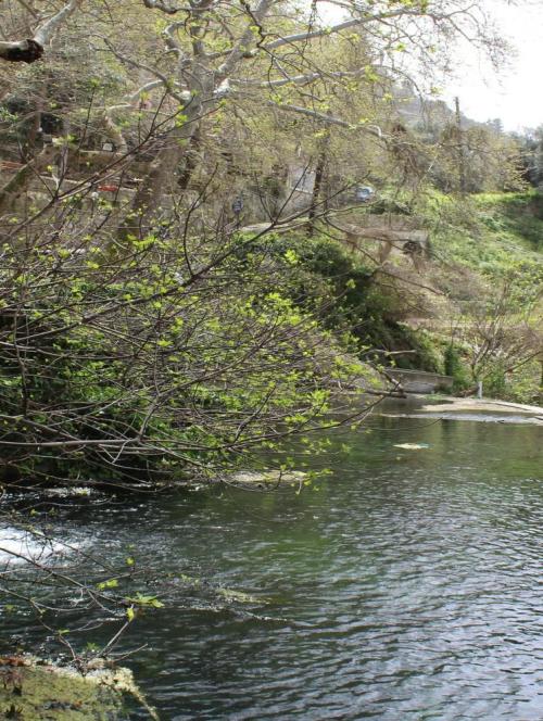 Flora, Fauna and Rivers of Crete Private Full Day Tour