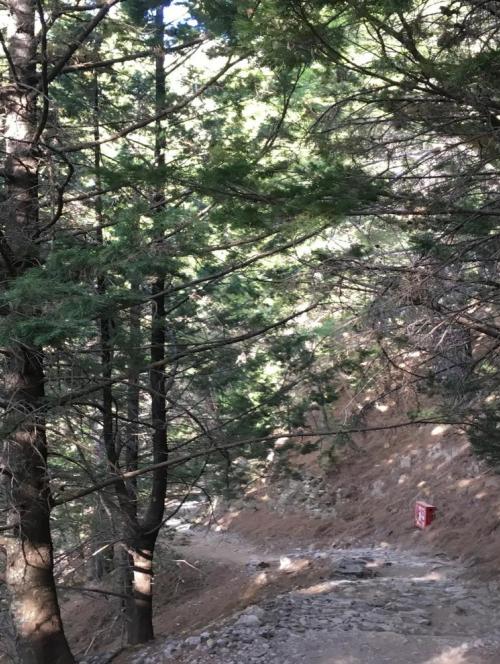 Samaria Gorge Chania Crete Hike