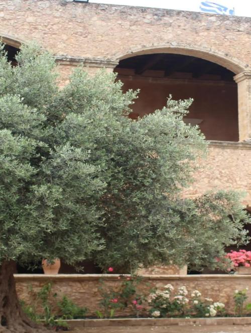 Olive and Organic Farming Tour in Chania, Crete