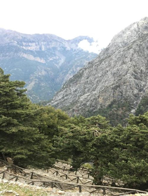Samaria Gorge from Above