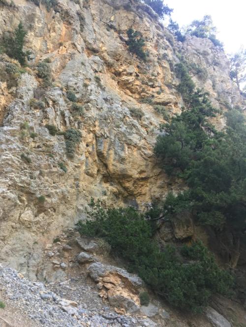 Imbros Gorge Private Full Day Tour