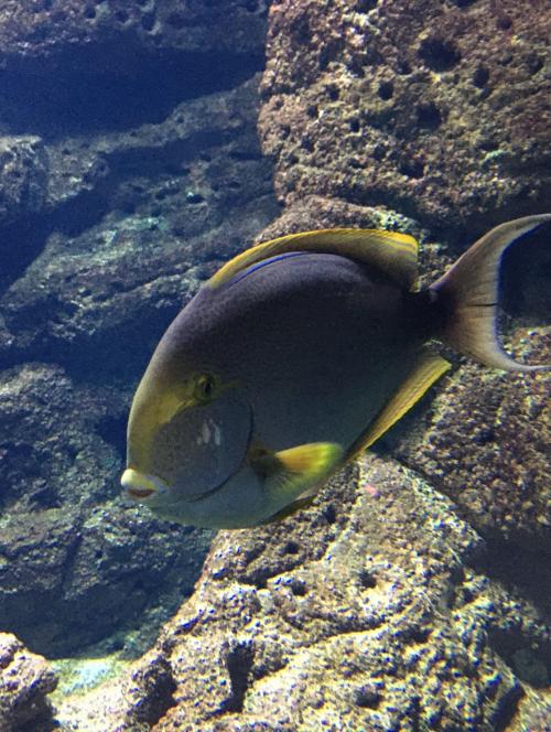 Chania to Heraklion Aquarium Private Full Day Tour 