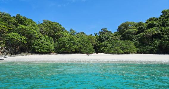 Morning Coffee & Coasting