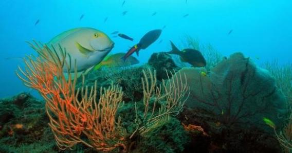 Snorkeling & Secret Beaches Half Day - SMALL GROUP TOUR (Max 6)