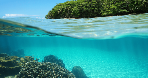 Snorkeling & Secret Beaches Half Day - SMALL GROUP TOUR (Max 6)