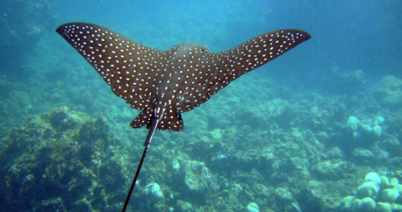 Snorkeling & Secret Beaches Half Day - PRIVATE TOUR