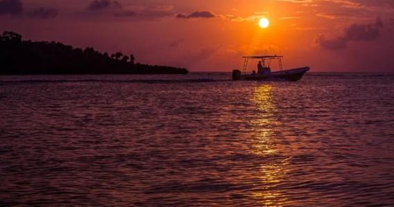 Sunset for Two