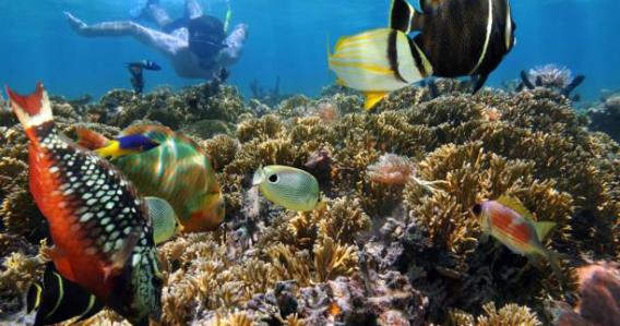 Las Catalinas Islands - Snorkeling - SMALL GROUP TOUR